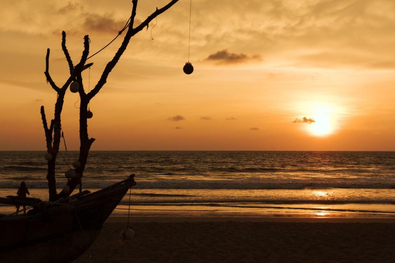 Amal Beach Hotel Bentota Eksteriør billede