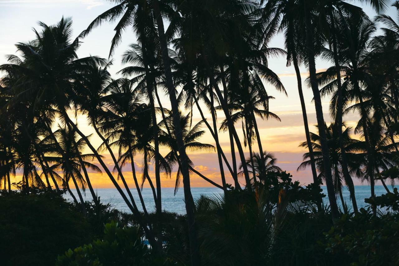 Amal Beach Hotel Bentota Eksteriør billede